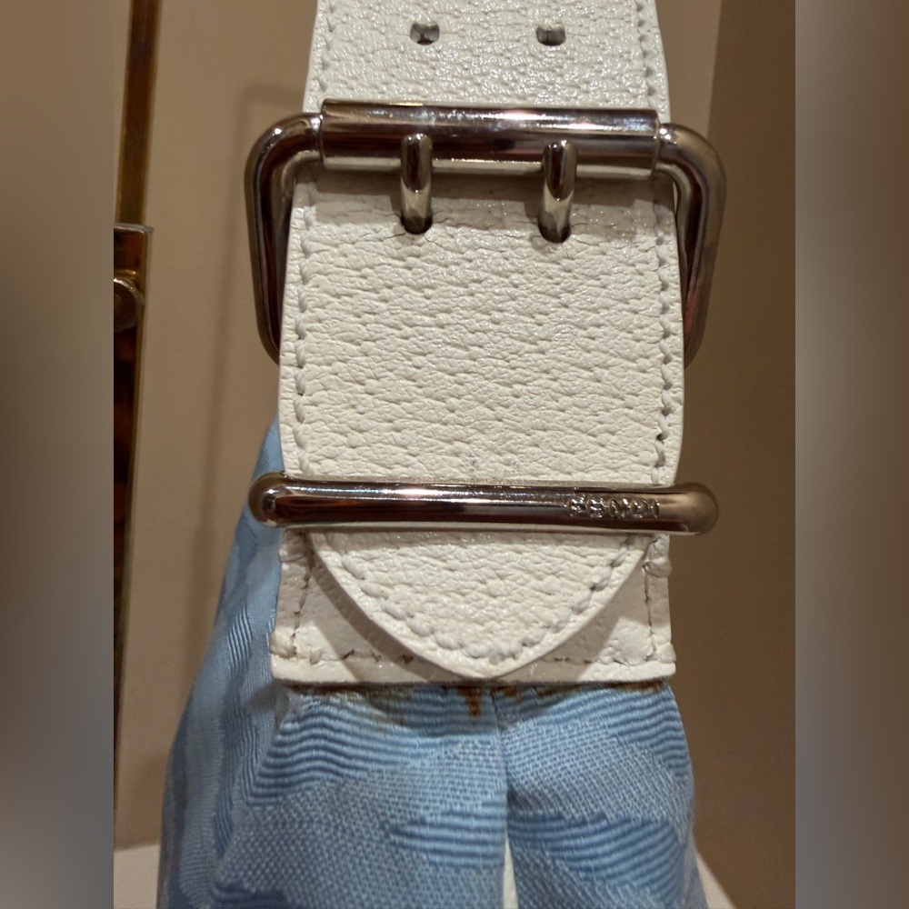 Fendi Oyster Bag in Blue Animal Print with White leather accent - Picture 7 of 14